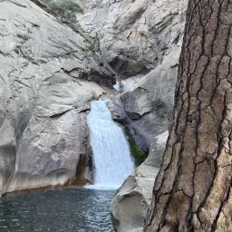 Foto 18 überprüfen