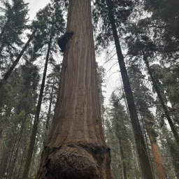 Foto 10 überprüfen