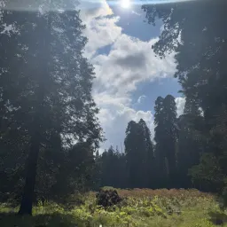 Foto 14 überprüfen