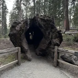 Foto 20 überprüfen