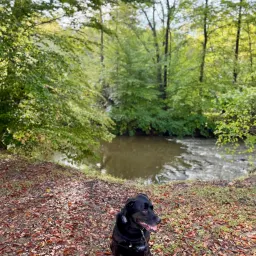 Commenter la photo 2