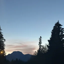 Commenter la photo 4