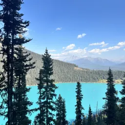 Commenter la photo 9