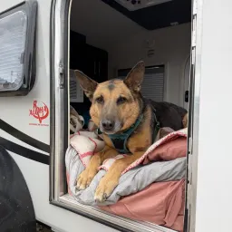 Recensisci la foto 13