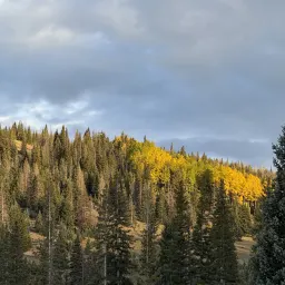 Recensisci la foto 3