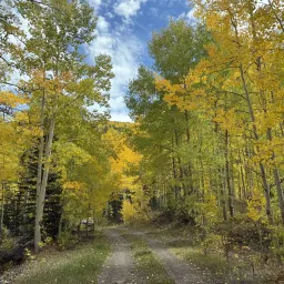 Recensisci la foto 4