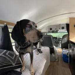 Recensisci la foto 2