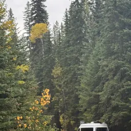 Commenter la photo 4