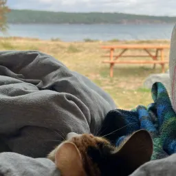 Foto de la valoración 5