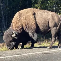 Commenter la photo 10