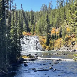 Commenter la photo 8