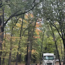 Commenter la photo 1