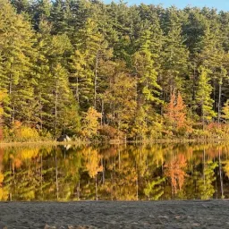 Commenter la photo 1