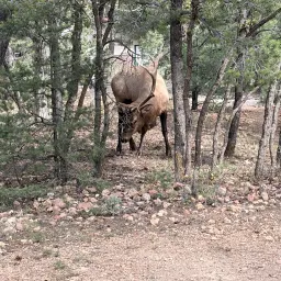 Commenter la photo 4