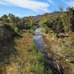 Foto de la valoración 7