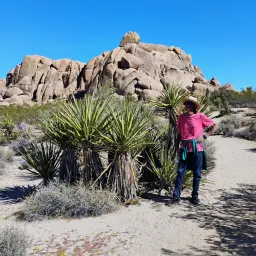 Recensisci la foto 1