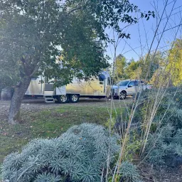 Commenter la photo 1