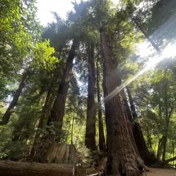 Recensisci la foto 2