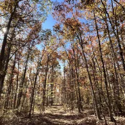 Foto de la valoración 1