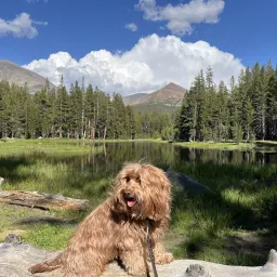 Commenter la photo 1