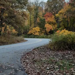 Commenter la photo 1