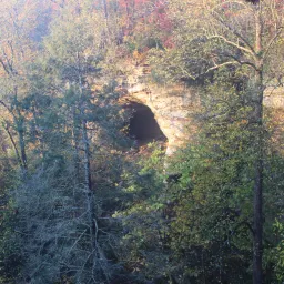 Commenter la photo 3