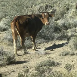 Commenter la photo 2