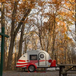 Commenter la photo 1