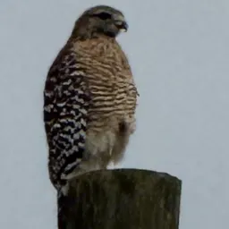 Foto de la valoración 2