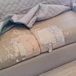 Commenter la photo 3