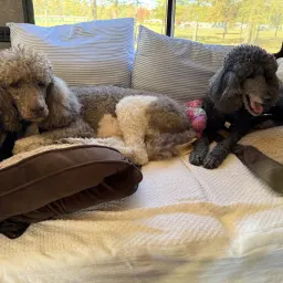 Recensisci la foto 2