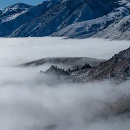 Commenter la photo 4