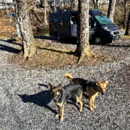 Foto de la valoración 2