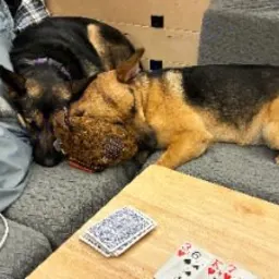 Foto de la valoración 6