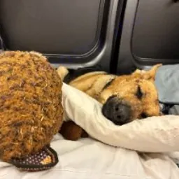 Foto de la valoración 8