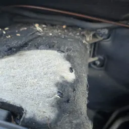 Commenter la photo 14