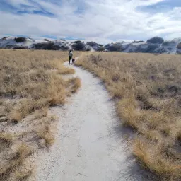 Commenter la photo 2