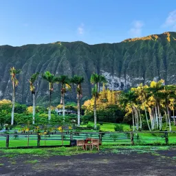 Commenter la photo 3