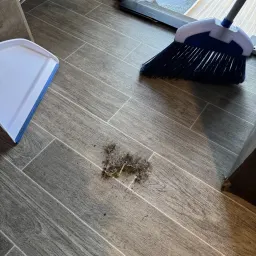 Commenter la photo 1