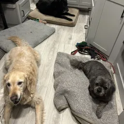 Recensisci la foto 2