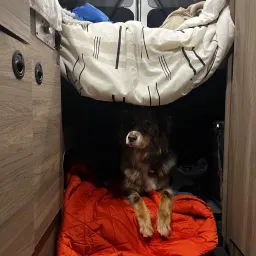 Foto de la valoración 2