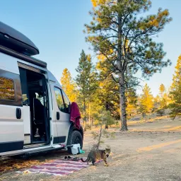 Commenter la photo 2