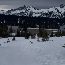 Commenter la photo 2