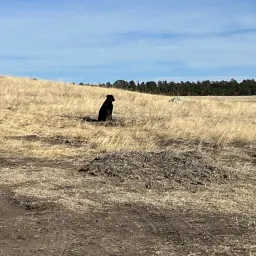 Foto de la valoración 5