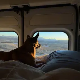 Commenter la photo 2