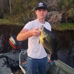 Commenter la photo 3