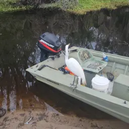 Commenter la photo 2