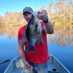 Commenter la photo 4