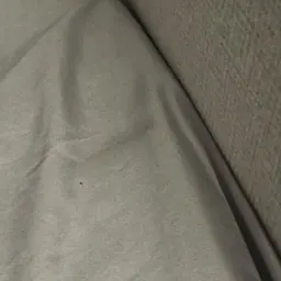 Commenter la photo 6