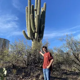 Commenter la photo 2